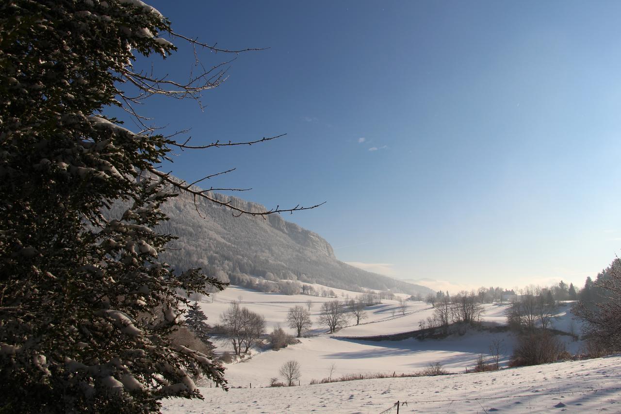 Cafe Brochier Hotel Saint-Julien-en-Vercors Exterior foto